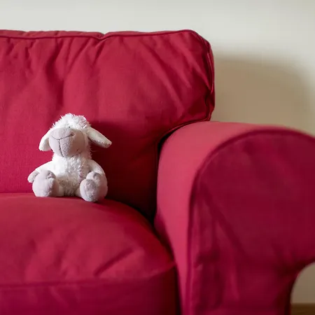 Szálloda Mercure Hotel, Meetings, Events, Restaurant & Bar - Accor Group, Pet Free