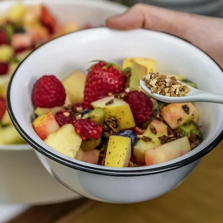 Mercure Hotel, Meetings, Events, Restaurant & Bar - Accor Group, Pet Free Hotel